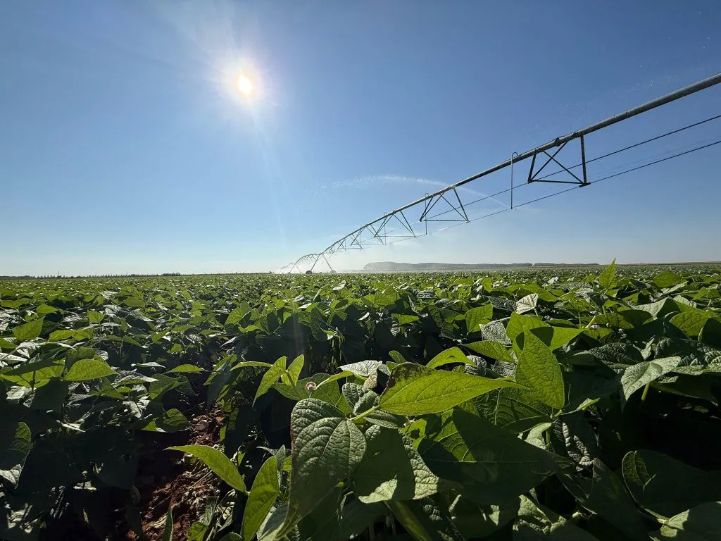 WhatsApp-Image-2025-07-15-at-10.23.01-1024x768